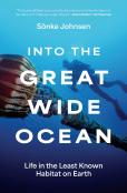 Into The Great Wide Ocean