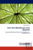 Into The Membrane And Beyond