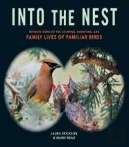 Into The Nest