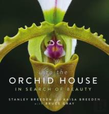 Into The Orchid House: In Search Of Beauty