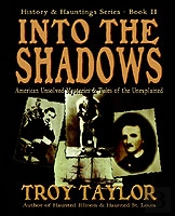 Into The Shadows