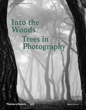 Into The Woods: Trees In Photography