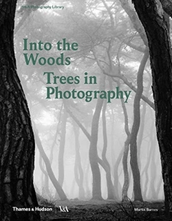 Bertrand.pt - Into The Woods: Trees In Photography