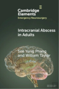 Bertrand.pt - Intracranial Abscess In Adults
