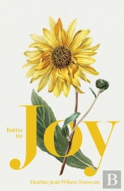 Intro To Joy