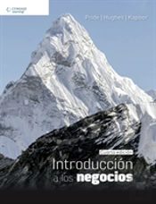 Introducciaâ³N A Los Negocios