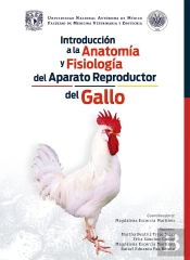 Introducción A La Anatomía Y Fisiología Del Aparato Reproductor Del Gallo