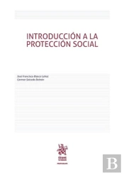 Introducción A La Protección Social