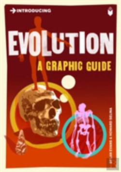 Bertrand.pt - Introducing Evolution