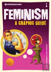 Introducing Feminism