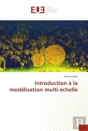 Introduction A La Modelisation Multi-Echelle