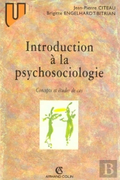 Introduction A La Psychosociologie Concepts Et Etudes De Cas
