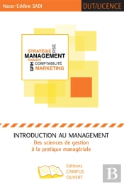 Introduction Au Management Des Sciences De Gestion À La Pratique Managériale