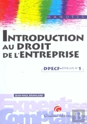 Introduction Droit De L'Entreprise ; Dpecf Epreuve 1