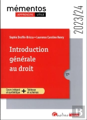 Introduction Generale Au Droit, 17eme Edition - Une Synthese Accessible Sur Le Droit Objectif Et Les