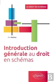 Introduction Generale Au Droit En Schemas