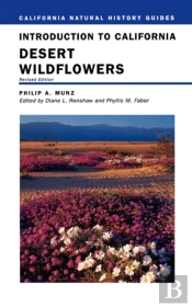 Introduction To California Desert Wildflowers