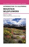 Introduction To California Mountain Wildflowers