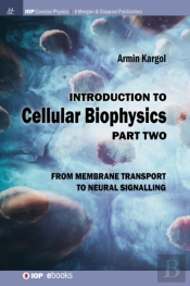 Introduction To Cellular Biophysics, Volume 2