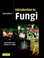 Introduction To Fungi