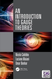 Introduction To Gauge Theories