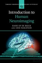 Introduction To Human Neuroimaging