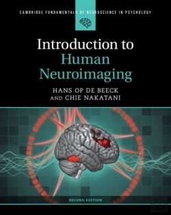 Bertrand.pt - Introduction To Human Neuroimaging