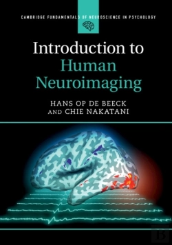 Bertrand.pt - Introduction To Human Neuroimaging