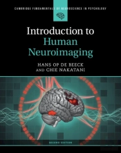Introduction To Human Neuroimaging