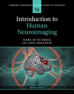 Bertrand.pt - Introduction To Human Neuroimaging
