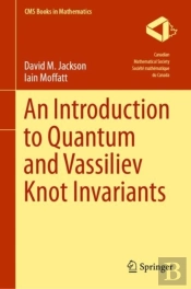Introduction To Quantum And Vassiliev Knot Invariants