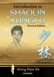 Introduction To Shaolin Kungfu