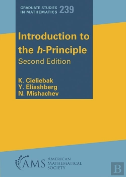 Bertrand.pt - Introduction To The H-Principle