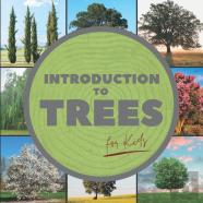 Introduction To Trees