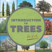 Introduction To Trees