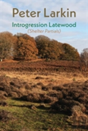 Introgression Latewood