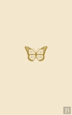 Bertrand.pt - Introspection
