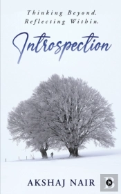 Introspection: Thinking Beyond. Reflecti