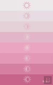 Introspectrum