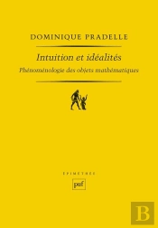 Intuition Et Idéalités ; Phénoménologie Des Objets Mathématiques