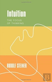 Intuition