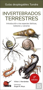 Invertebrados Terrestres - Guias Desplegables Tundra