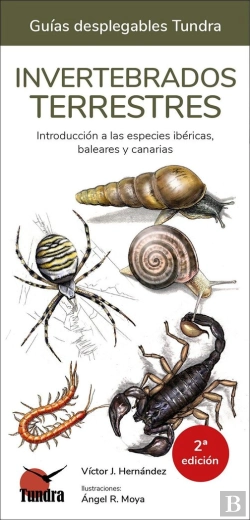 Bertrand.pt - Invertebrados Terrestres - Guias Desplegables Tundra