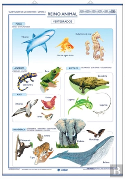 Bertrand.pt - Invertebrados ; Vertebrados