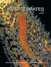 Invertebrates 3e