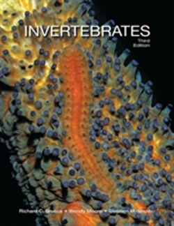 Bertrand.pt - Invertebrates 3e