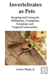 Invertebrates As Pets
