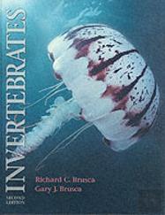 Invertebrates