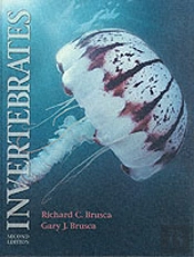 Invertebrates