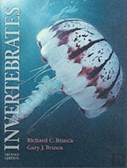 Bertrand.pt - Invertebrates